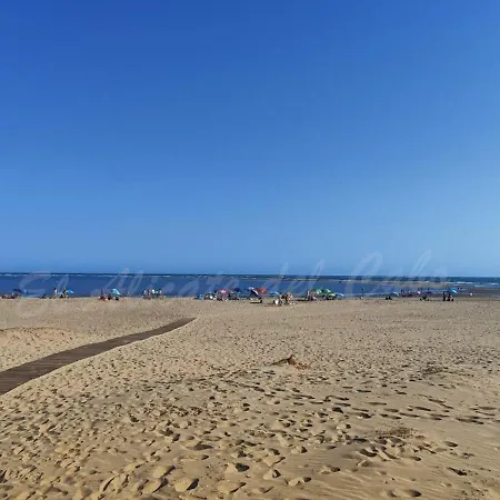 El Alicate Del Cabo *